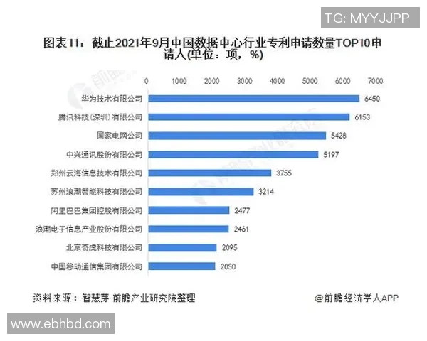 武汉篮球队强势崛起最新实力榜单揭晓TOP10球队全景分析